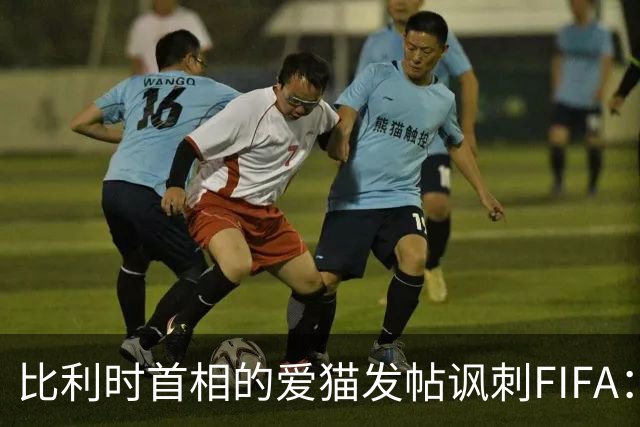 比利时首相的爱猫发帖讽刺FIFA：“红牌？”我照样继续踢！
