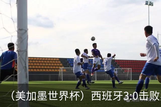 （美加墨世界杯）西班牙3:0击败奥地利 本届世界杯保持零失球